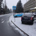 fot. Straż Miejska Jelenia Góra