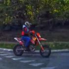 Fotka nr 2 z 3