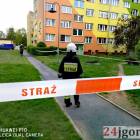 Fotka nr 2 z 17