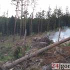 Fotka nr 3 z 10