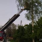 Fotka nr 4 z 10