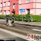 Fotka nr 4 z 14