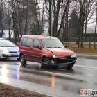 Fotka nr 4 z 8