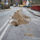 zdjęcie nr 9