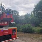 Fotka nr 4 z 5