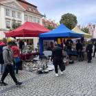 zdjęcie nr 15