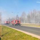 Fotka nr 3 z 18