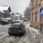 fot. Straż Miejska Jelenia Góra