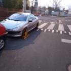 Fotka nr 2 z 7
