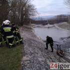 Fotka nr 3 z 13