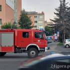Fotka nr 2 z 5
