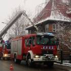 Fotka nr 5 z 12
