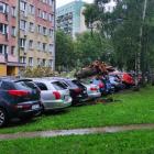 Fotka nr 2 z 4