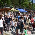 zdjęcie nr 5