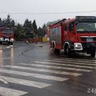 Fotka nr 1 z 5