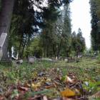 zdjęcie nr 31