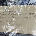 Fotka nr 4 z 6