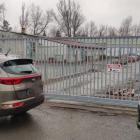 fot. Straż Miejska Jelenia Góra