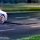 Fotka nr 1 z 8