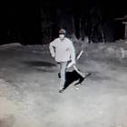 Fotka nr 2 z 3