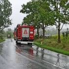 Fotka nr 5 z 7