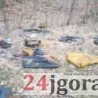 Fotka nr 3 z 13