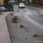 zdjęcie nr 7