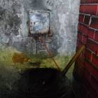Fotka nr 1 z 2
