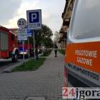 zdjęcie nr 3