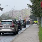 zdjęcie nr 7