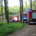 Fotka nr 2 z 4