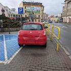 fot. Straż Miejska Jelenia Góra
