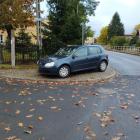 fot. Straż Miejska Jelenia Góra