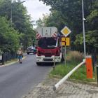 zdjęcie nr 7