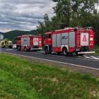 Fotka nr 5 z 29