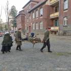 Fotka nr 5 z 20