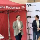 zdjęcie nr 15