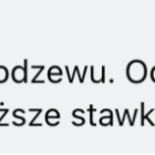 Fotka nr 4 z 10