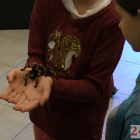 zdjęcie nr 16