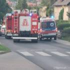 Fotka nr 5 z 10