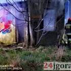 zdjęcie nr 11