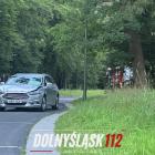 Fotka nr 5 z 6