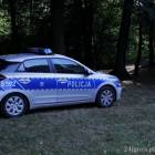 Fotka nr 2 z 3