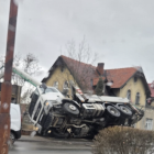 Fotka nr 2 z 7