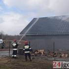 zdjęcie nr 15