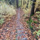 fot. Karkonosze GO