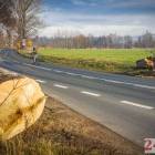 Fotka nr 1 z 18