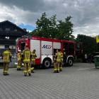 Fotka nr 5 z 8