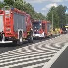 Fotka nr 5 z 6