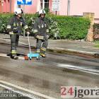 zdjęcie nr 9